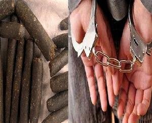 लहड़ा के अजय कुमार से 86.420 ग्राम चरस बरामद, केस दर्ज, गिरफ़्तार