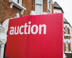 Nahan: Bhabad grass auction on 23rd October