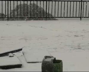  First snowfall of the season in Churdhar, the highest peak of Nauhradhar.