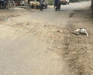 Indora: Road was uprooted from JSB and turned into a speed breaker. 123