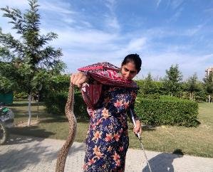 Una: Sangat was engaged in service in Radha Soami Satsang Bhawan, snake came out