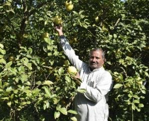 Solar Fencing: Greenery in the fields due to protective cover, redness on the faces of farmers