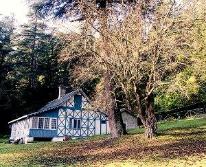 Eco-tourism will get a boost in Dharamshala forest area, rooms will be booked online