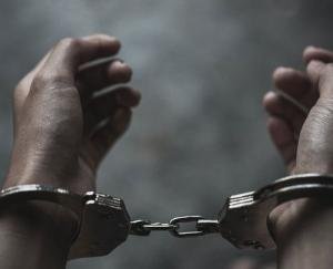 पुलिस ने पकडे 10453 ग्राम चरस व 29 बोतलें शराब