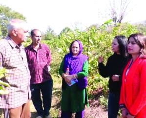 Hamirpur: 6 gardeners of Beed Bagehada created sweetness by planting fruit trees on barren land.