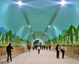 Shimla: Chief Minister Sukhu will inaugurate double lane tunnel in Shimla today 369