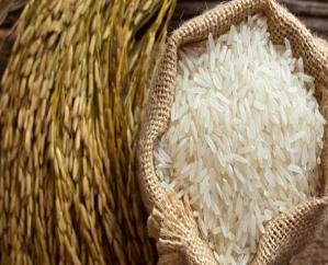 Dharamshala: Ration card holders will eat desi rice in the new year