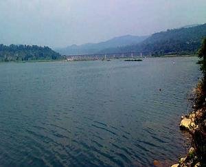 Relief to the people living on the banks of Pong: Center bans putting it in eco-sensitive zone 232