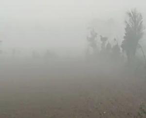 Dense fog will remain in the plains of Himachal till January 6.