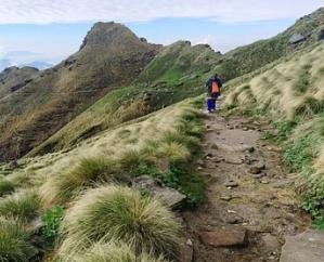 50 percent discount in trekking and tenting entry fees in Dharamshala Forest Circle