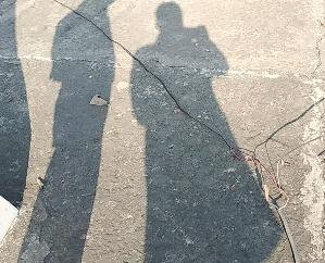  Jwalamukhi: Electricity department imposed fine of Rs 2 lakh on NHI contractor