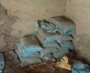  Jaswan-Paragpur: Video of 13 cement bags turning into stones in Bathra goes viral on social media.