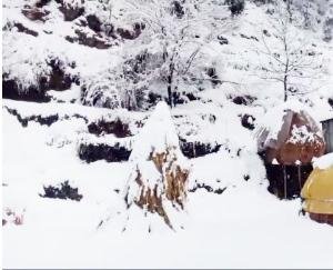  Many roads closed due to rain and snowfall in Himachal, black out in many areas  123