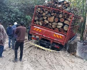 Jwalamukhi: Truck filled with wood stuck in the marshy road near Timber Chowk of Tip Panchayat. 123