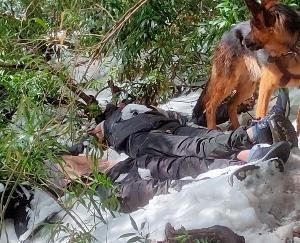  Dharamshala: The rescue team reached the dead bodies of the missing boy and girl in Billing after hearing the sound of the dog.