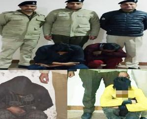  Four accused arrested with drugs in three cases in Kullu