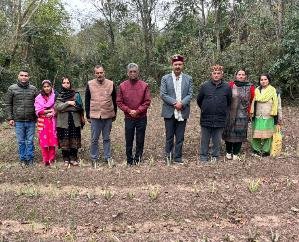 Sundernagar: Medicinal plants brought new dawn in the barren fields.
