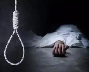 Kasauli: Man found hanging from a tree in Jamli, wife's body found in the field.