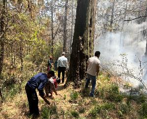Mandi: Fire broke out in Baldwara forest, extinguished by JICA and forest department team.
