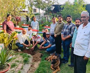 Tree plantation campaign started from Curetech campus to protect the environment
