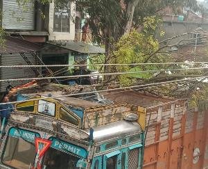 तूफ़ान में मेन लाईन पर गिरी पेड़ की टहनी, कोई बड़ा हादसा नहीं