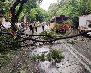 Many roads closed due to heavy rain in Sundernagar, administration appeals to people