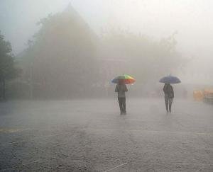 Himachal: Traffic halted on 77 roads in the state, 9 water supply schemes disrupted