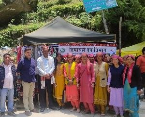 Forestry project boosts self-employment in rural economy