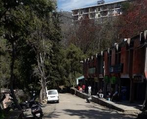 विदेश जाने वाले विद्यार्थिओं को देने होंगे फिटनेस करोना मुक्त प्रमाण पत्र