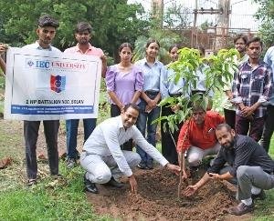 Baddi: Kargil Vijay Diwas celebrated with enthusiasm in IEC University