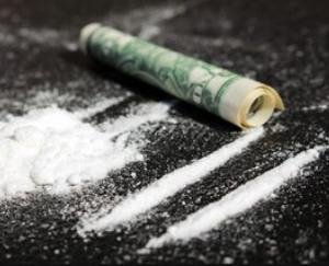 Shimla: Police caught Chitta from a person near the old bus stand.