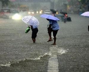 Himachal: Meteorological Department today issued orange alert of heavy rain, advice to stay away from rivers and drains.