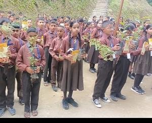 Kangra: Smile Foundation Khundian distributed fruit plants to students