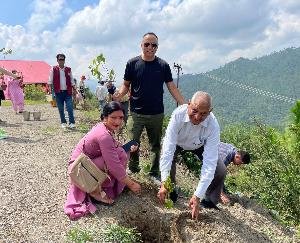 Solan: Well-known cultural, literary and social organization Philfot Forum planted saplings.