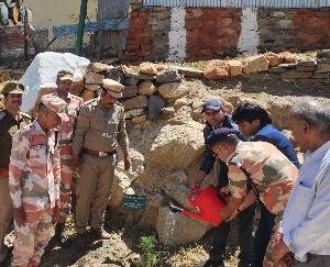 Reckong Peo: Saplings of pine nuts planted in ITBP post Shipki La.
