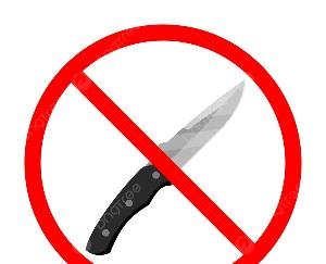 Dharamshala: Ban on all types of weapons in Jwalaji from October 2