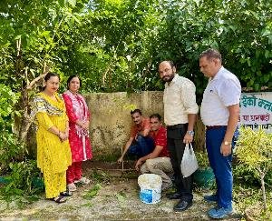 Saplings were planted in Government High School Dhalwadi on the occasion of Environment Fortnight.