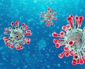 कोरोना वायरस के दृष्टिगत निर्देश जारी, सभी नागरिक सेवा केन्द्रों व सुगम केन्द्र आगामी आदेशों तक बंद