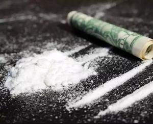 Drug smuggler husband and wife arrested in Kangra, 109.52 grams chitta recovered