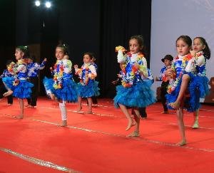 Annual day celebration of Solnal Sai International School held