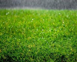 किसानों में फैली ख़ुशी की लहर, जाने वजह