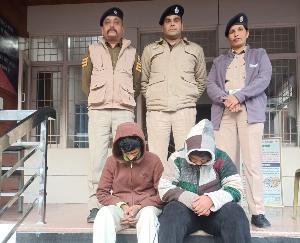 5.30 grams of heroin seized from a couple resident of Paragpur in Kangra