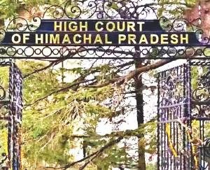 High Court's question to Sukhu government, can a company selling phenyl recruit nurses?