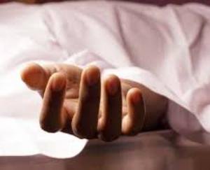 MC dustbin vehicle falls into ditch in Shimla, driver dies