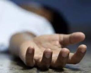 Shimla: Truck lost control and fell into Sainj ravine, two brothers died