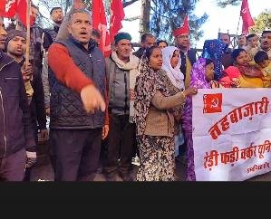 Shimla: Tehbazaaris protested... Accused the administration of snatching employment!
