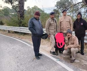 Jogindernagar police recovered 8.46 grams of heroin, accused arrested