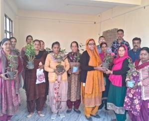 Women's- Gram- Sabhas- were -organized- on- Women's- Day- in -Kunihar -and -Hatkot -Panchayat