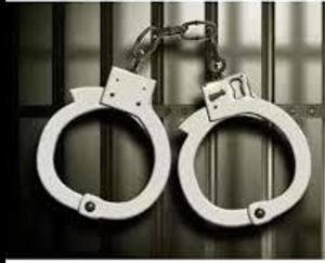 chras-and-loaded-pistol-recovered-from -a-car-in bilaspur-while-routine-checking