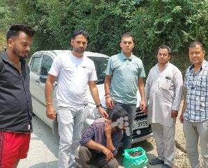 Kullu-: One- person -arrested -with- 3.556 -kg -of -hashish